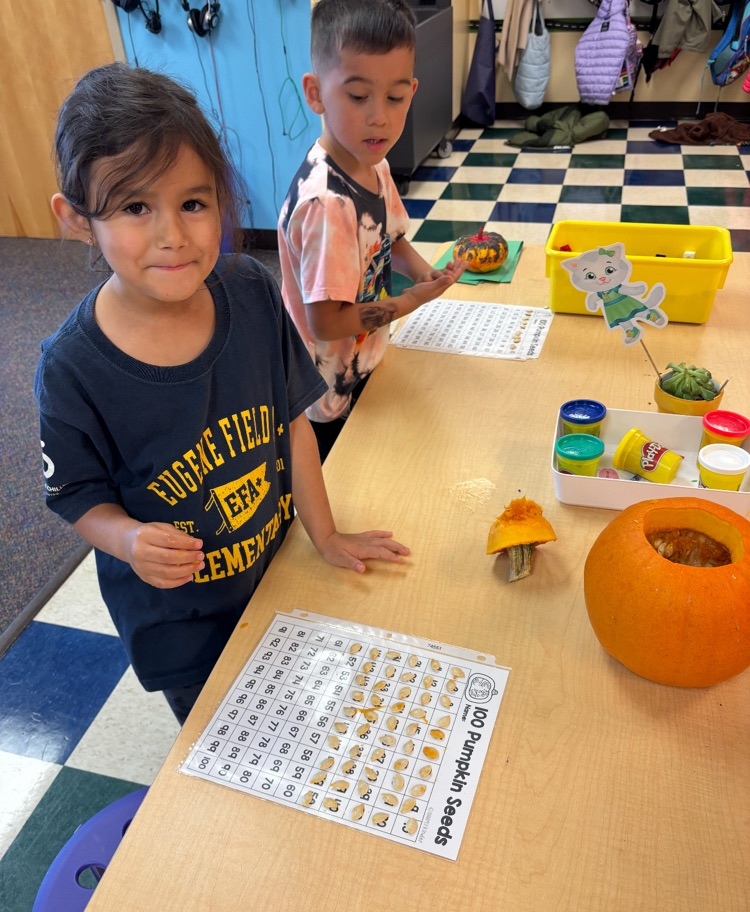 students counting pumpkin seeds