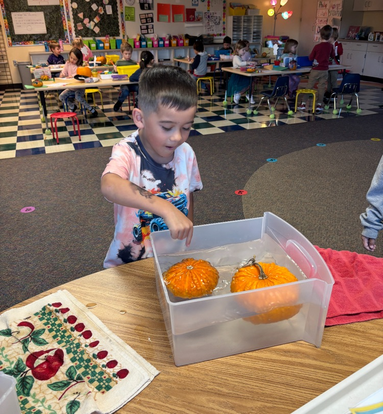 students seeing if pumpkins float