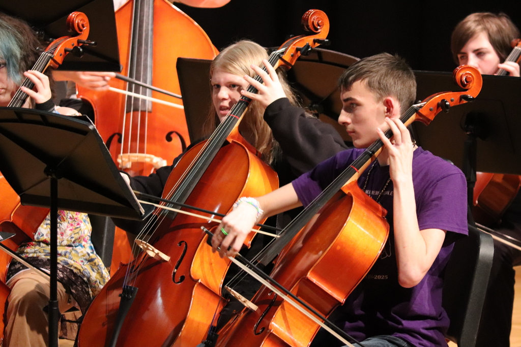 Winter Orchestra Concert 