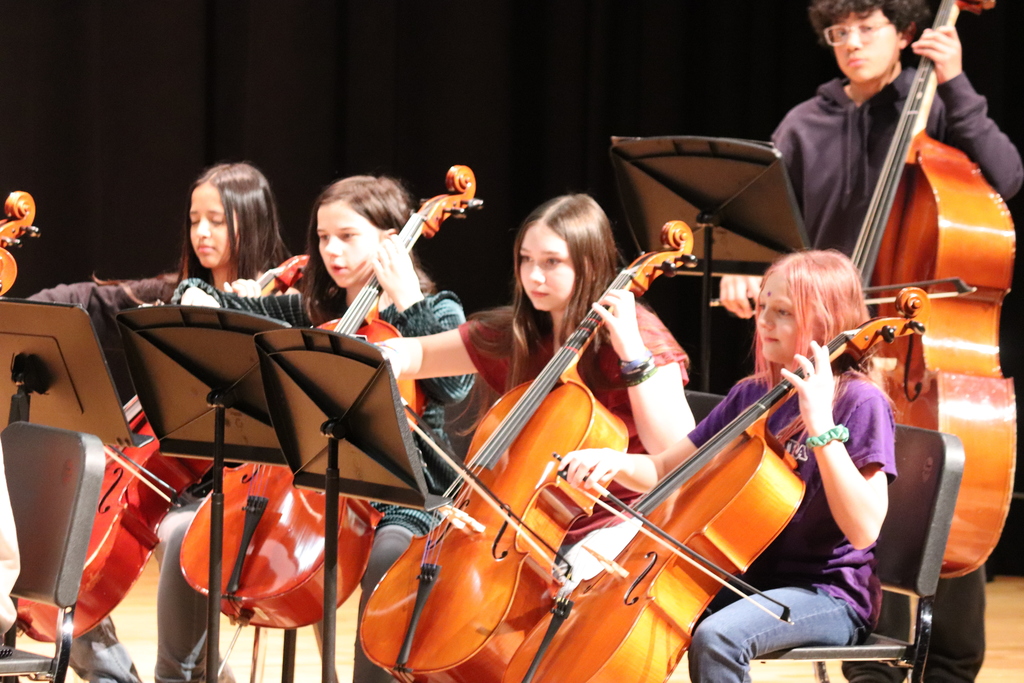 Winter Orchestra Concert 