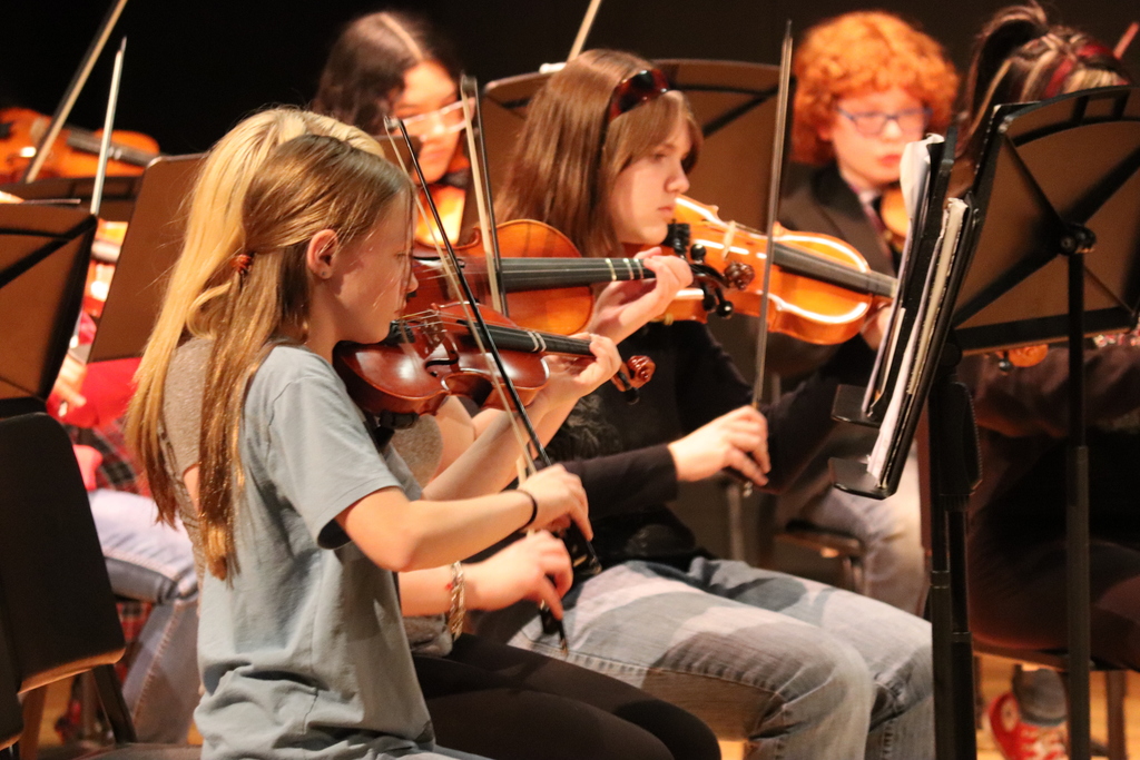 Winter Orchestra Concert 