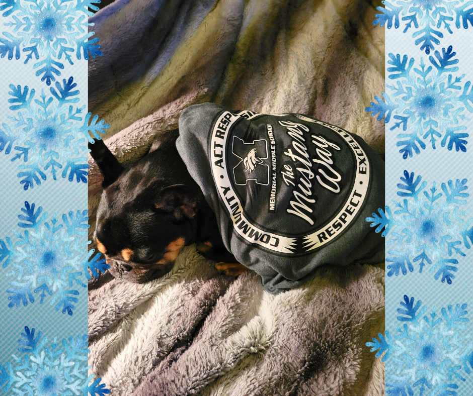 A dog lying comfortably on a soft blanket, wearing a Memorial Middle School t-shirt. The text "The Mustang Way" is clearly visible on the back of the shirt.