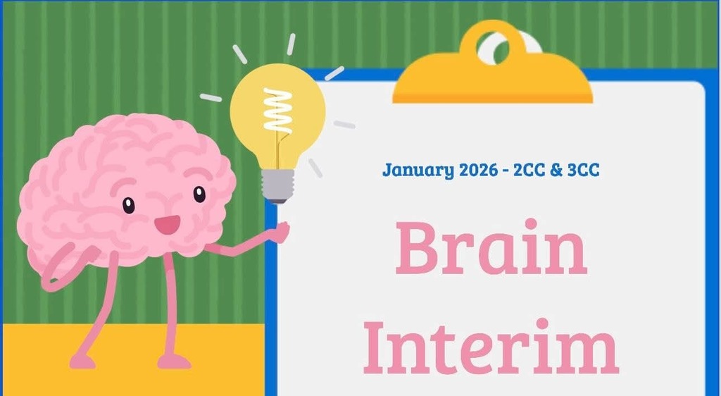 Brain Interim 