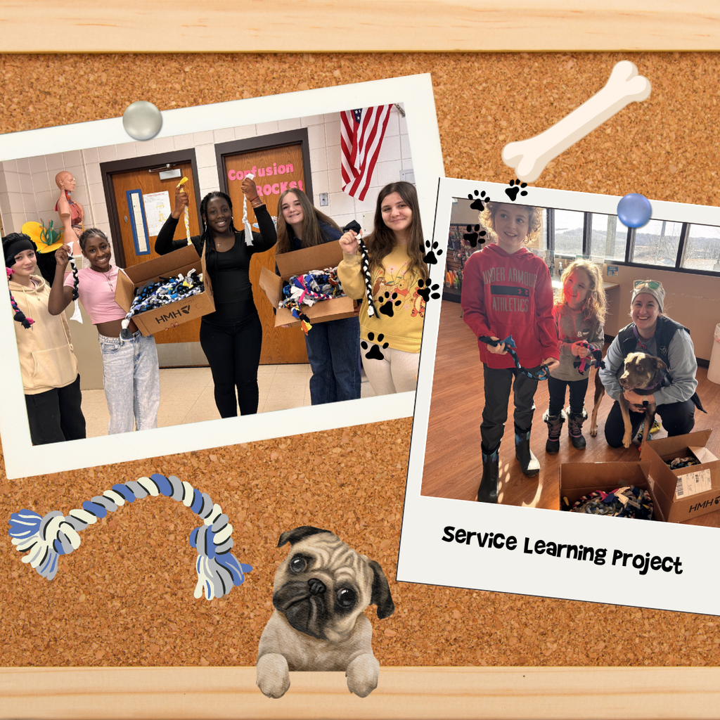7th Grade Service Learning Project