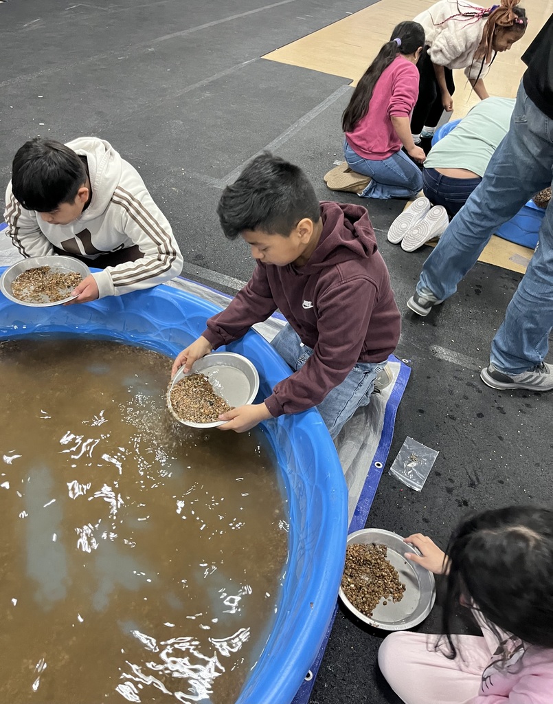 boys panning for gold