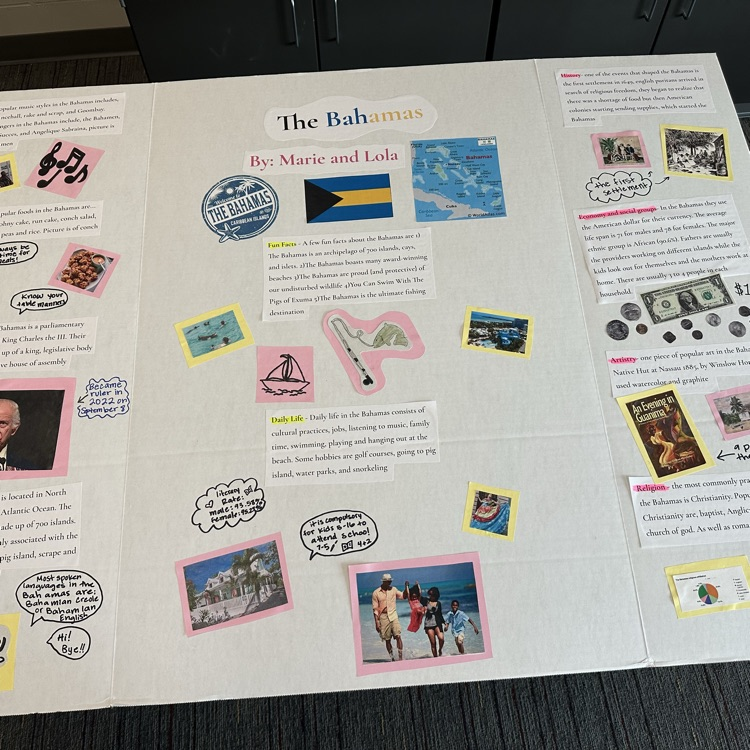 pic social studies project