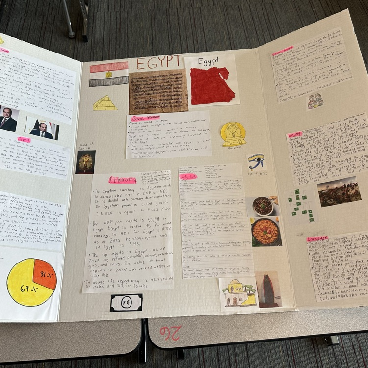 pic social studies project