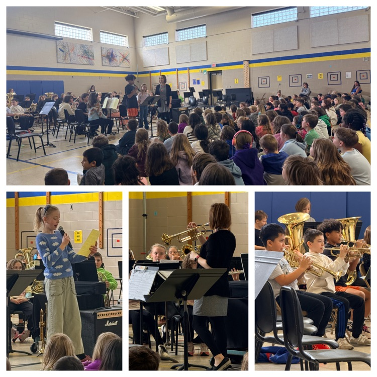 a collage style photo of the orchestra concert