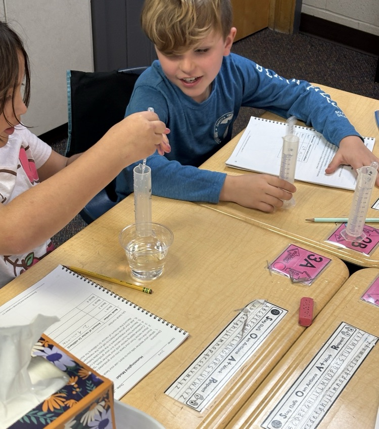 2 students sitting at a desk doing a science experiment