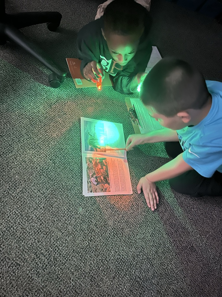 two students reading with flashlights 