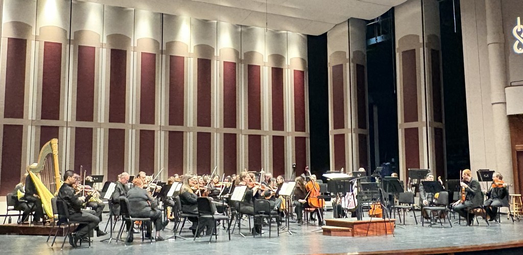 Picture of the orchestra playing at the Young People's Concert