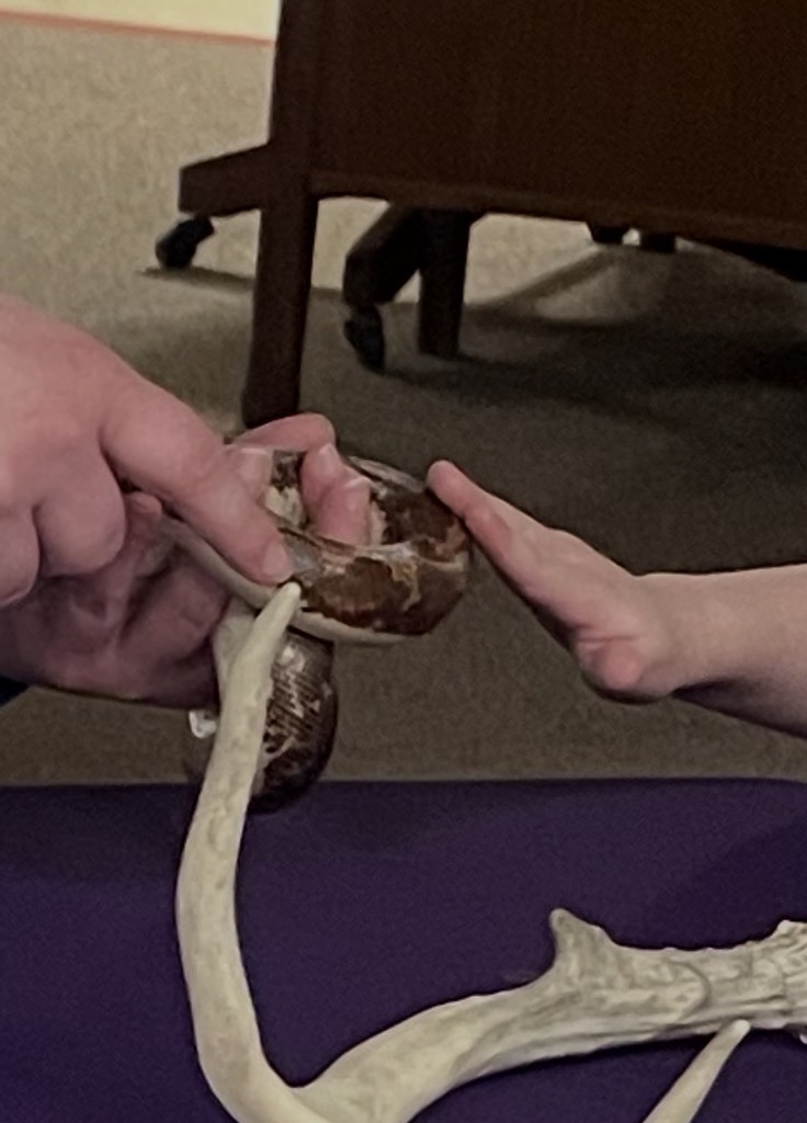 Thank you Great Plains Zoomobile for visiting Hawthorne