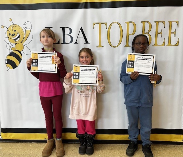 3rd grade top bees