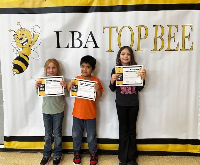 1st grade top bees