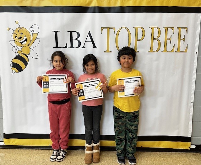 2nd grade top bees