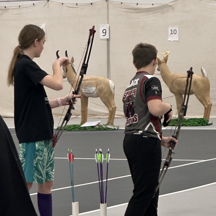 the Bison in action!