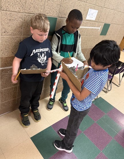 students measuring the size of animals