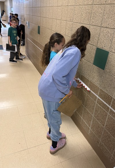 students using a ruler to measure an animal length