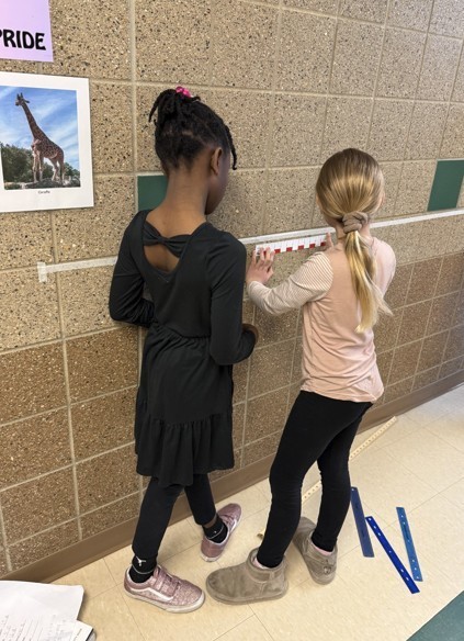 students using a ruler to measure an animal length