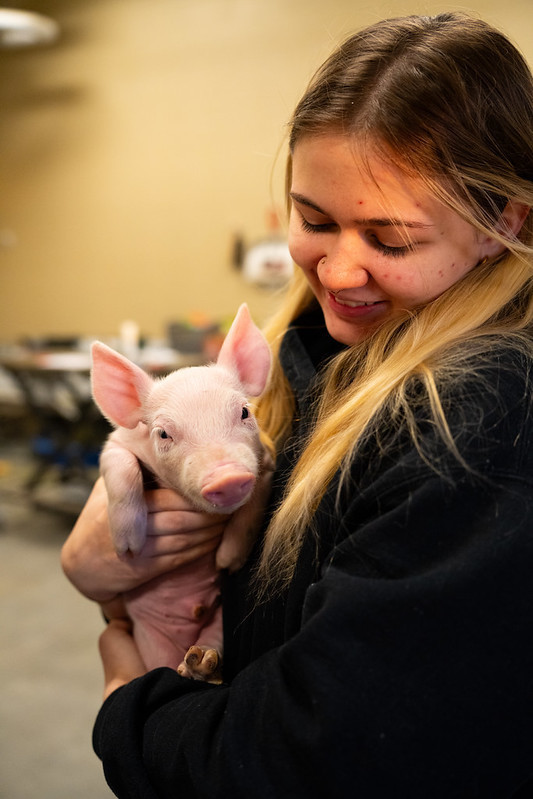 Student and piglet posing for picture