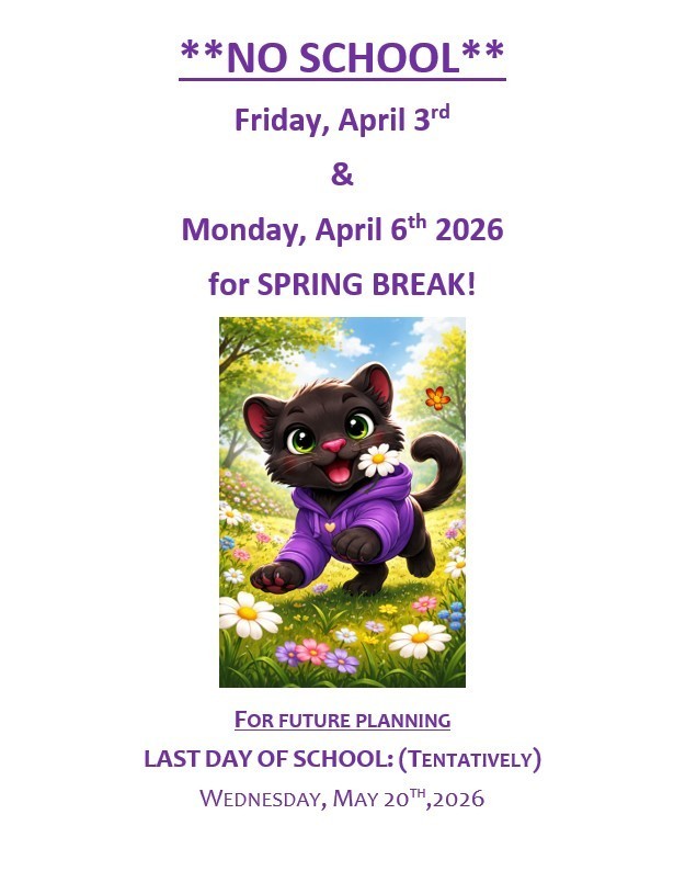 Panther playing outside in a spring meadow