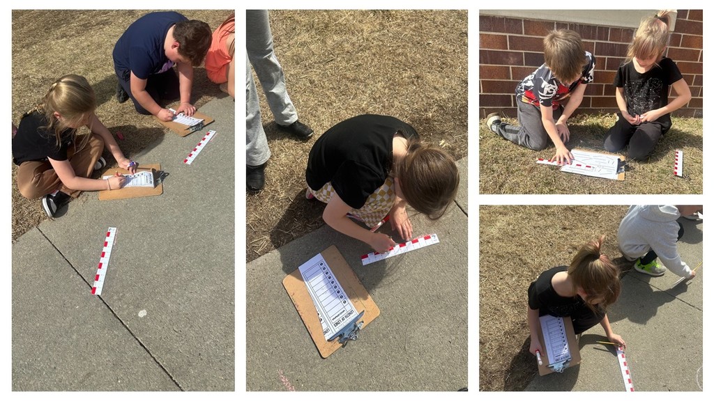 Students measuring and doing math outside. 