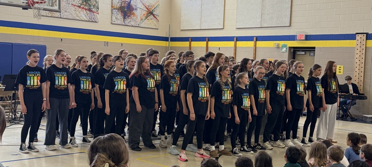 a photo of a show choice 