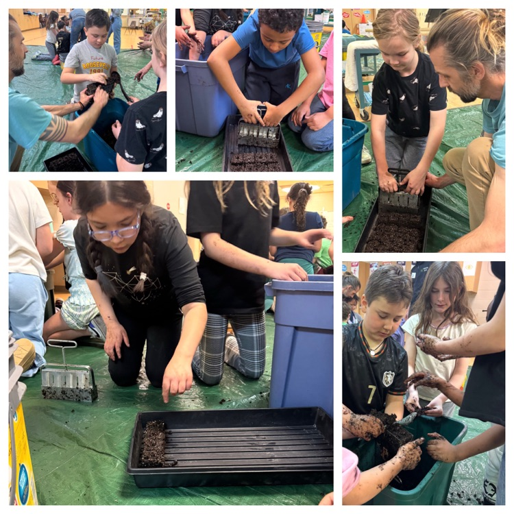 collage style photos of 3 graders seed blocking 