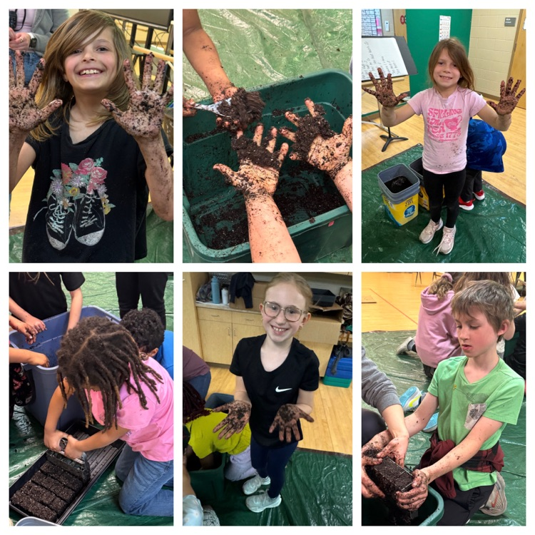 collage style photos of 3rd graders seed blocking 