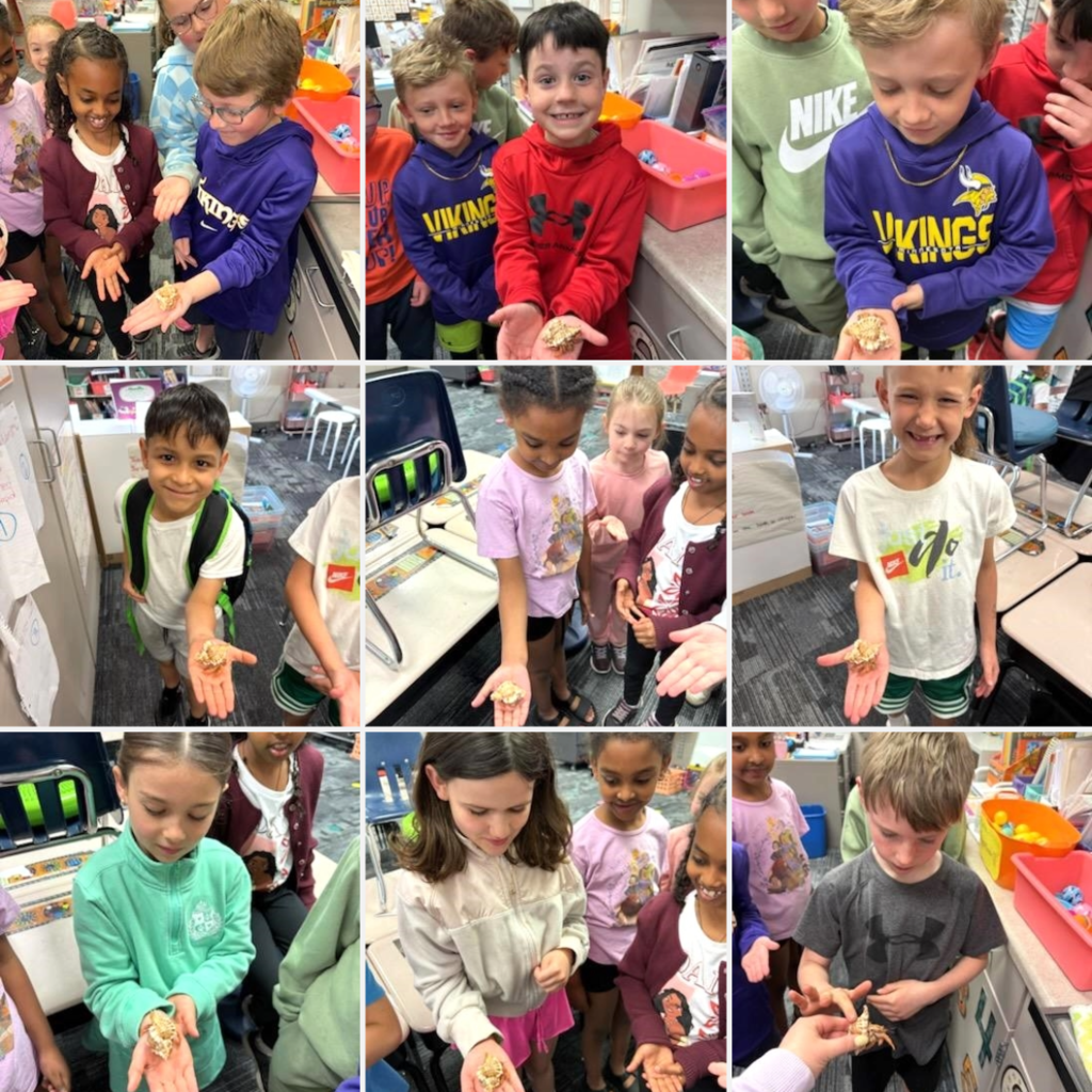 Students holding a hermit crab. 