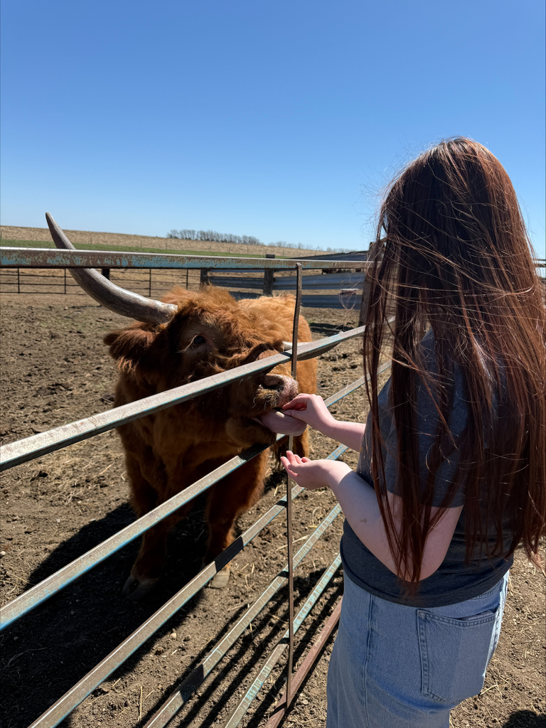 Student feeding the animals