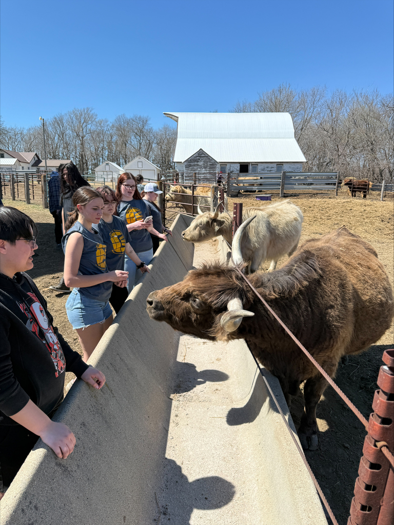 Students feeding the animals