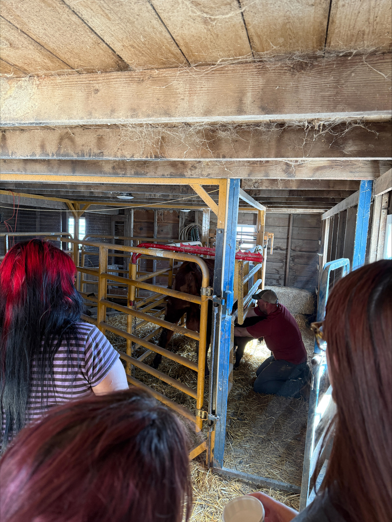 Students visiting a farm