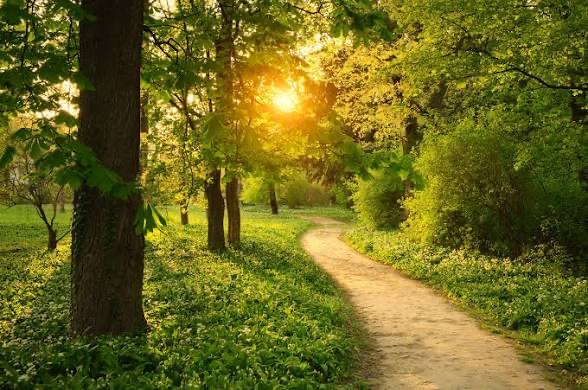 park with a nature trail