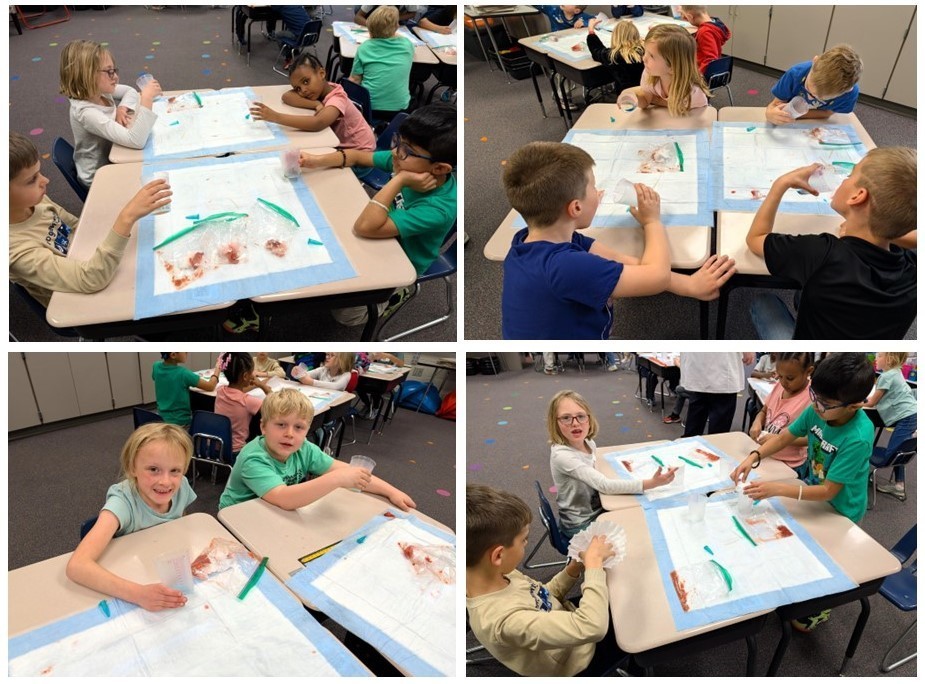 First grade students extracting DNA from strawberries. 