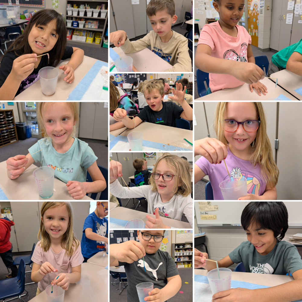 First grade students extracting DNA from strawberries. 
