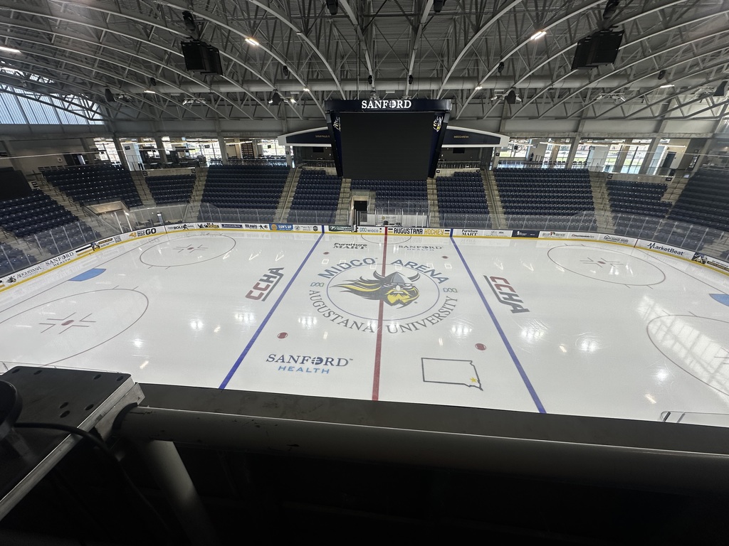 Picture of the ice from the media box