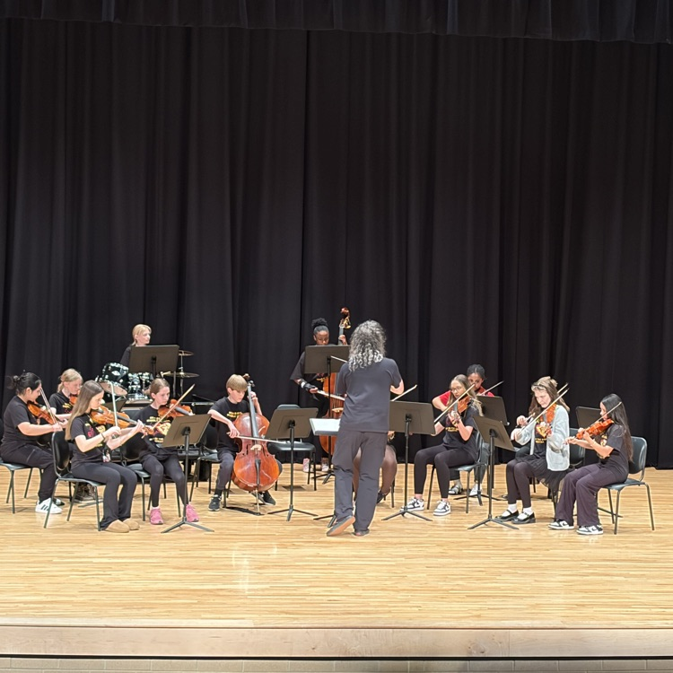 performers at the Variety Show 