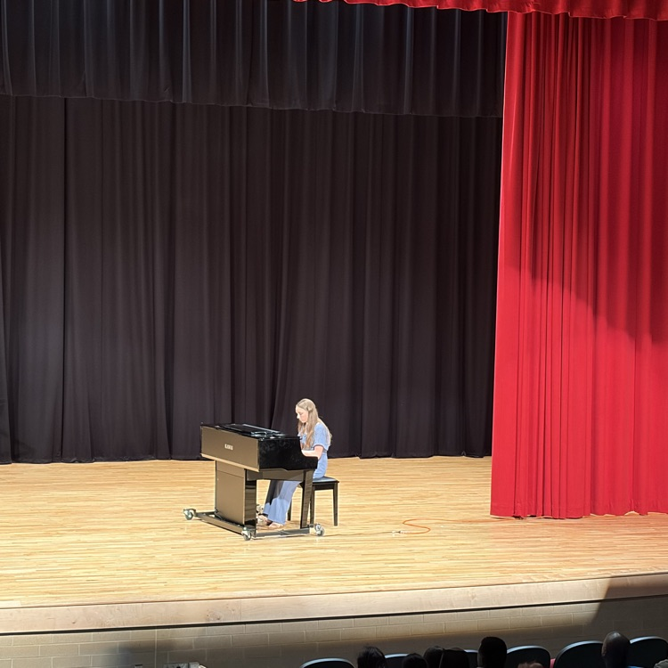 performers at the Variety Show 