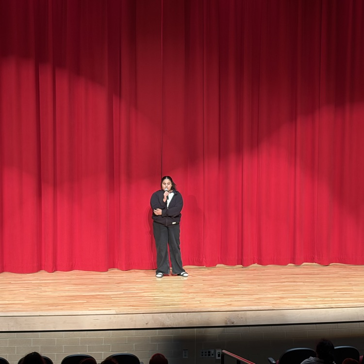 performers at the Variety Show 