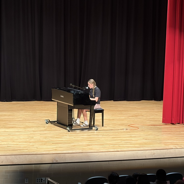 performers at the Variety Show 