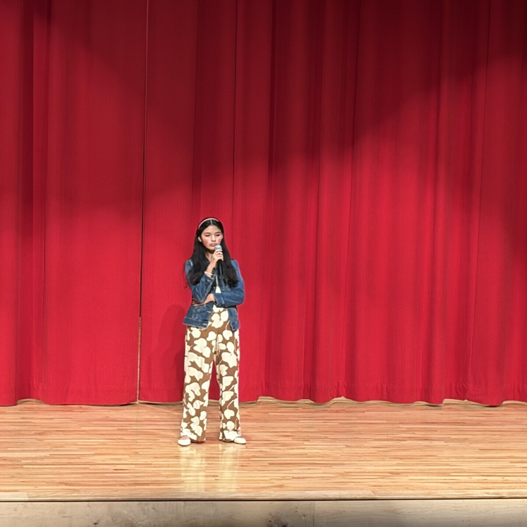 performers at the Variety Show 