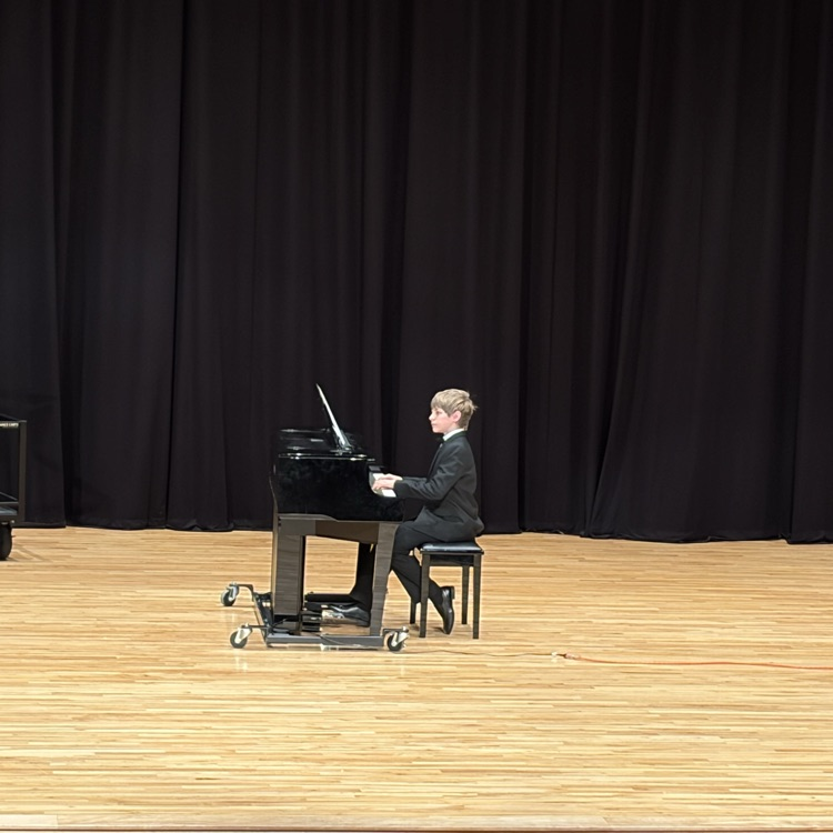 performers at the Variety Show 