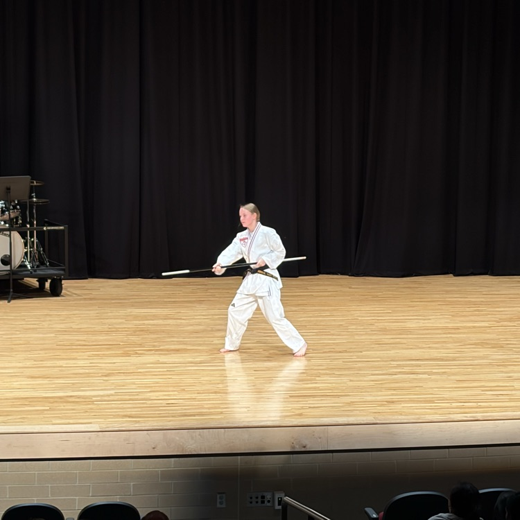performers at the Variety Show 