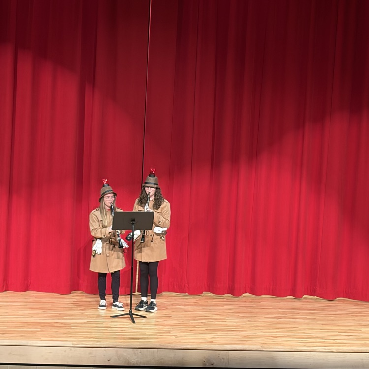 performers at the Variety Show 