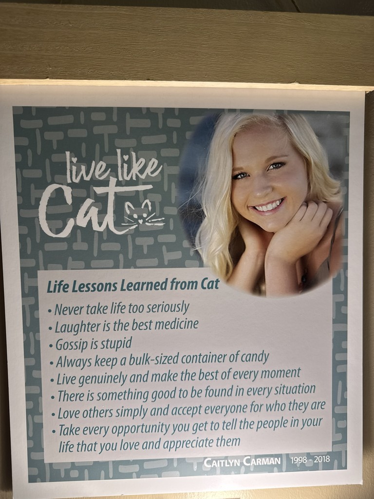 Live Like Cat