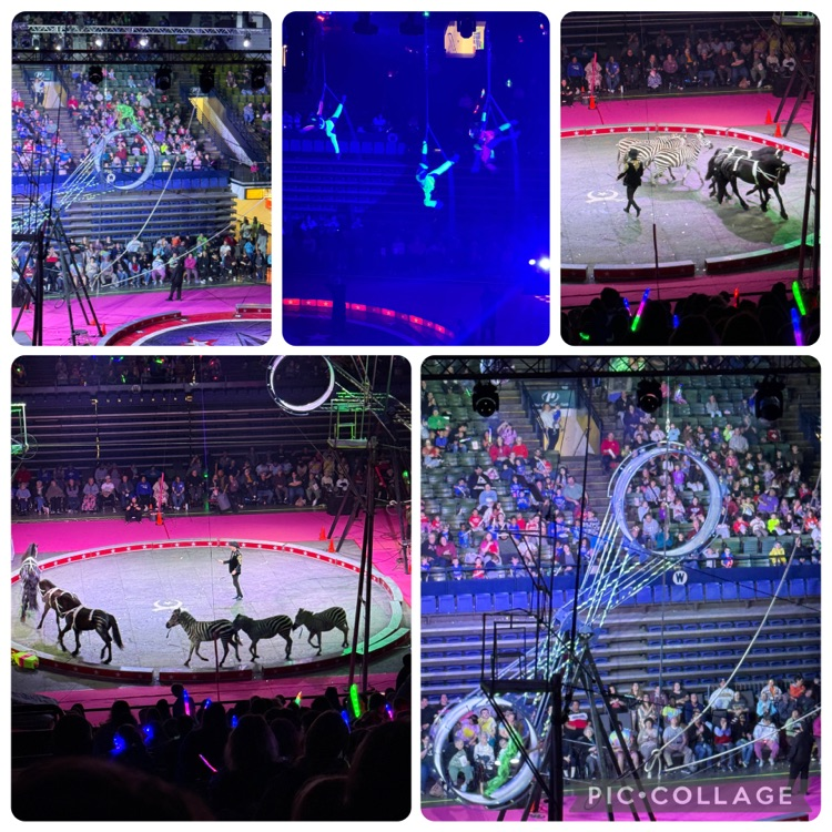 circus fun
