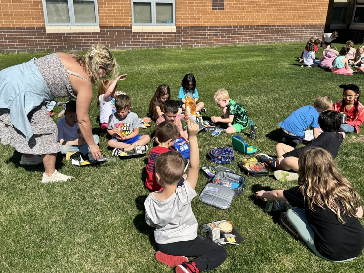 students having a picnic