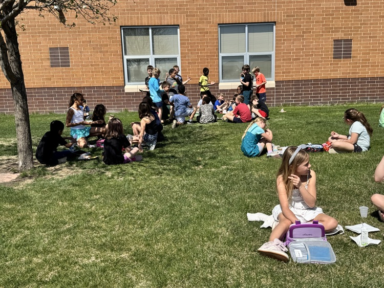 students using a picnic on the Pettigrew front lawn