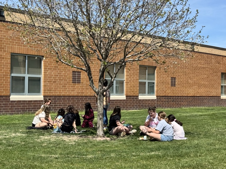 students using a picnic on the Pettigrew front lawn